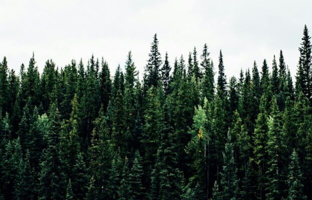 Eco-Conscious Fire Protection: Pyrogen’s Impactful Solutions